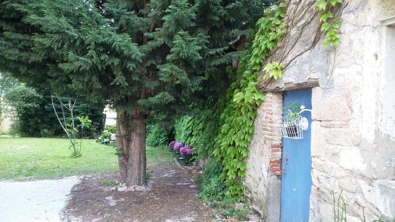 La Chagnelotte Διαμέρισμα Farges-les-Chalon Εξωτερικό φωτογραφία